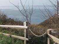 pathway to truro beach