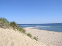 pathway across dunes