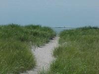 pathway across dunes