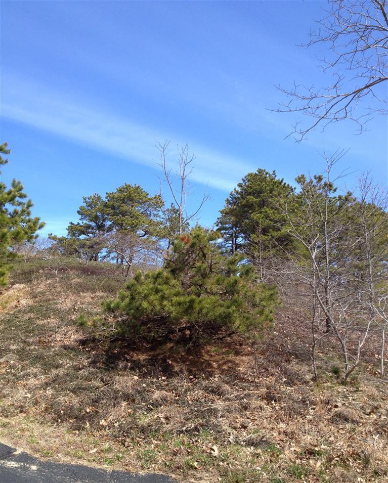 Price Changed to $475,000 in Truro!