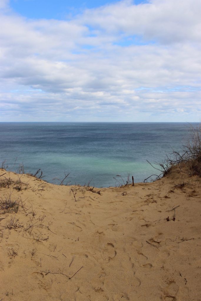 Don't Miss These Listings!!! Thomas D. Brown Real Estate Associates