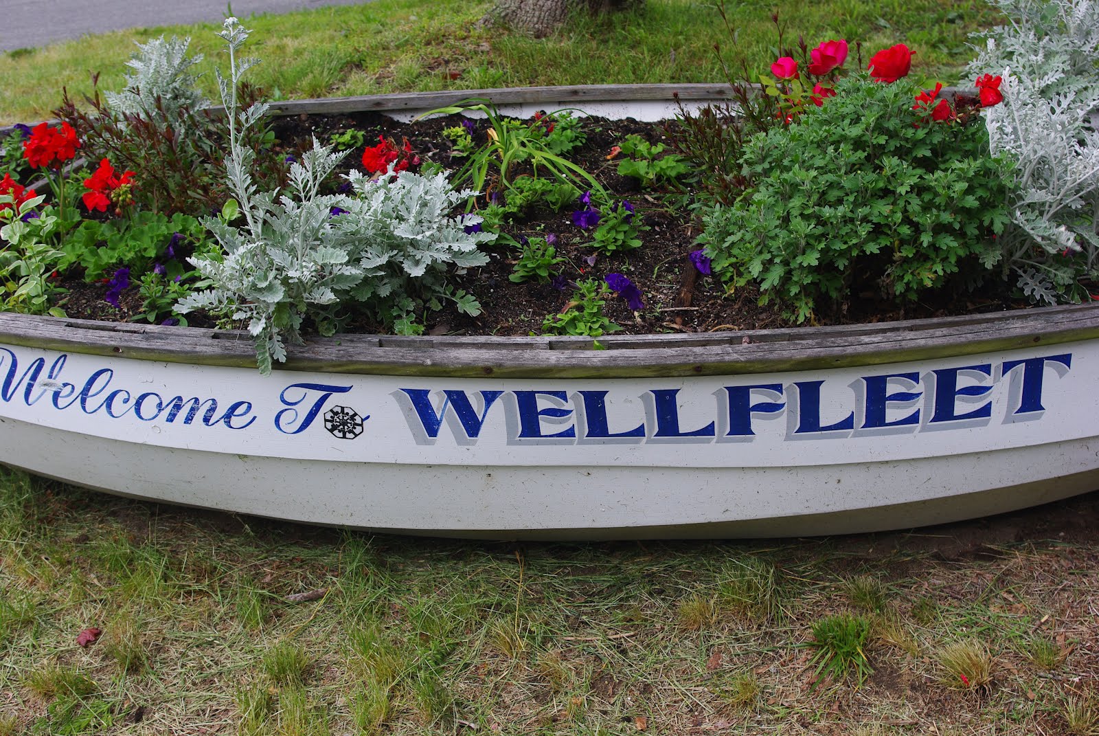 About Wellfleet Thomas D. Brown Real Estate Associates